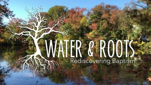 Water and Roots: fall_scene
